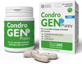 Condrogen Puppy INNOVET