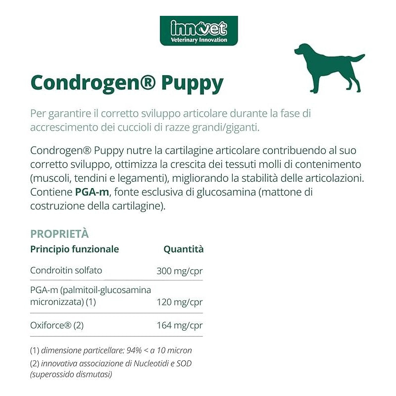 Condrogen Puppy INNOVET