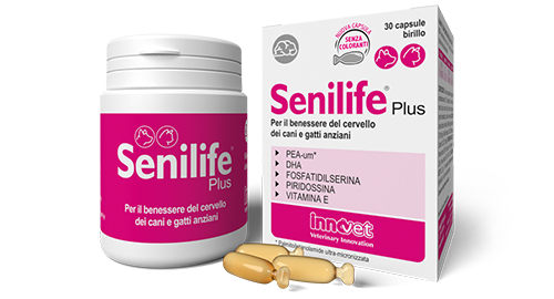 Senilife Plus 60 cps INNOVET
